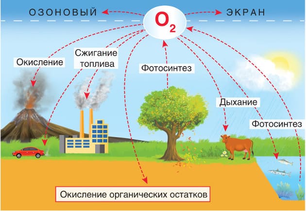 Неспокойно в душе от теснящихся мыслей