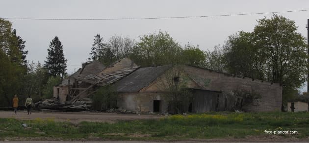 Они никому не нужны?