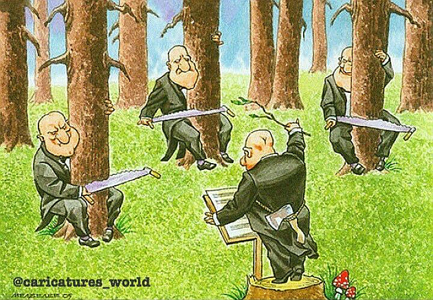 Ленинградские леса в опасности?