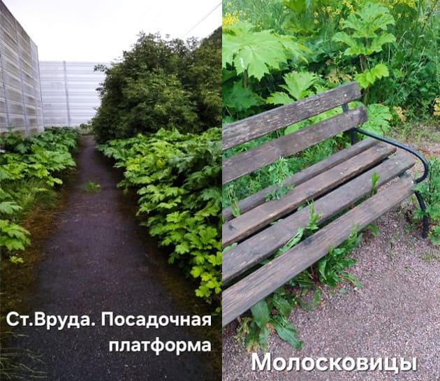 Плач детей и родителей
